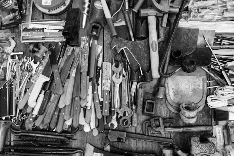 how-to-foster-creativity-in-scientific-research