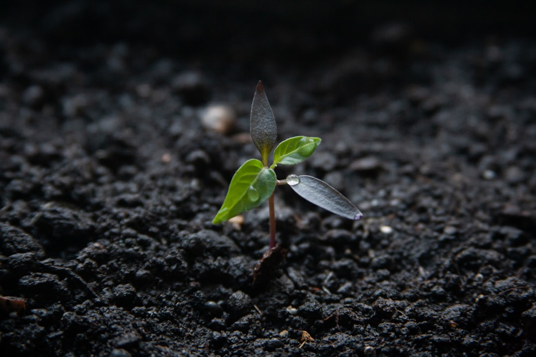 Photo Grow Business Faster